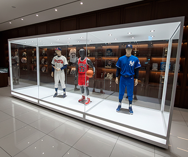 Memorabilia Display Cases
